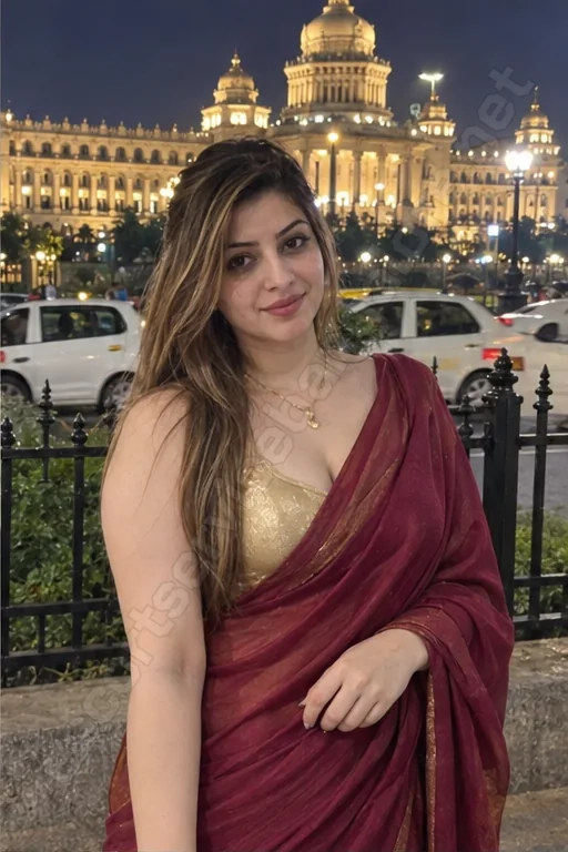 Khushi in a maroon saree near the Vidhana Soudha at night